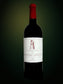 Latour 2005