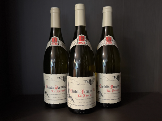 Dauvissat La Foret Vertical Bundle